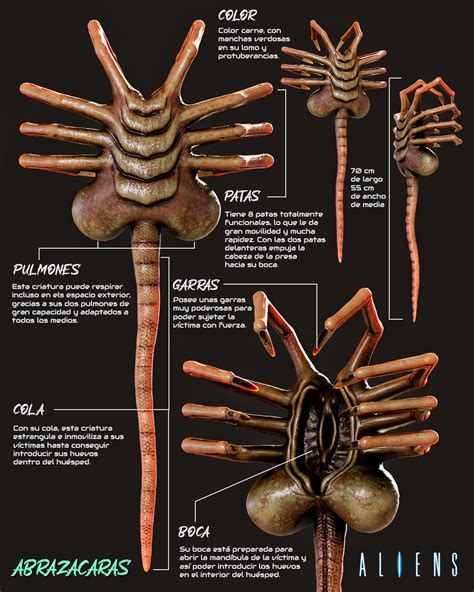 facehugger rule34